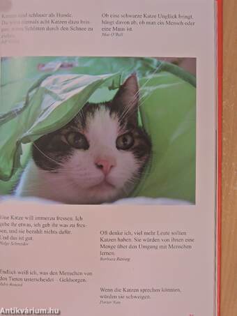 Ein Lesebuch für Katzenfreunde