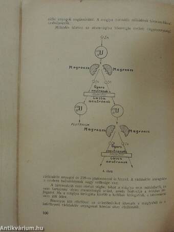 Matematikai és fizikai lapok 1955. március