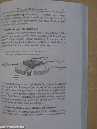 Székelyföldi mozaik