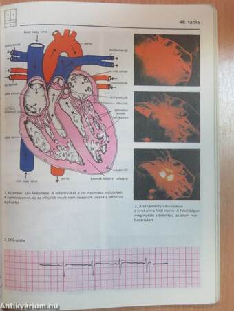 Biológiai album