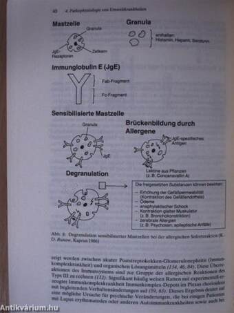 Klinische Ökologie