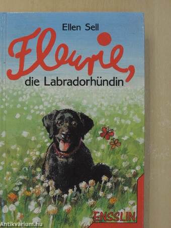 Fleurie, die Labradorhündin