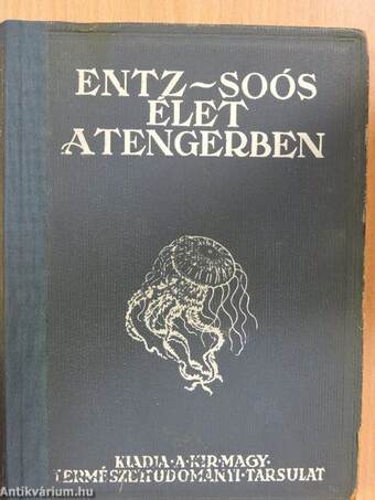 Élet a tengerben