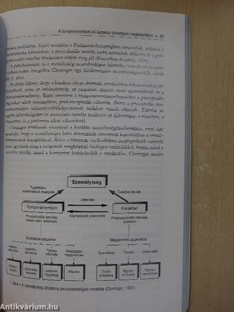 Temperamentum és karakter: Cloninger pszichobiológiai modellje