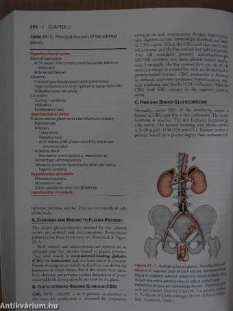 Pathophysiology of Disease