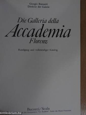 Die Galleria della Accademia Florenz