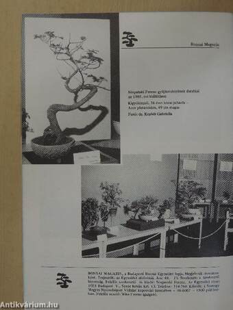 Bonsai Magazin 1986. tavasz