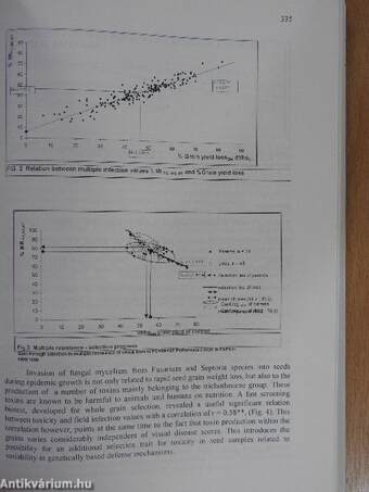 Wheat in a Global Environment