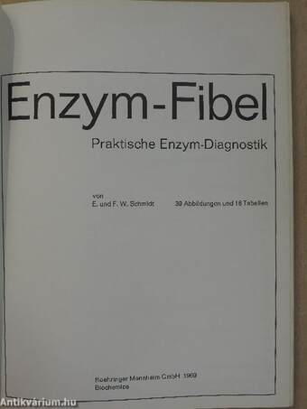 Enzym-Fibel