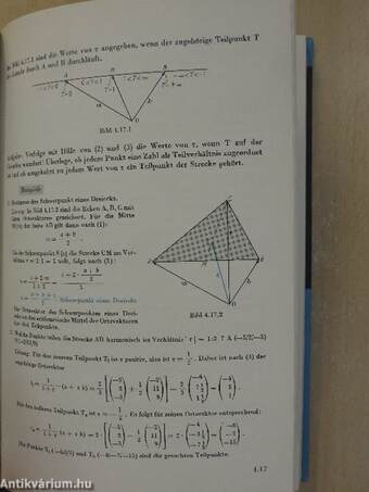 Analytische Geometrie und Abbildungsgeometrie in Vektorieller Darstellung