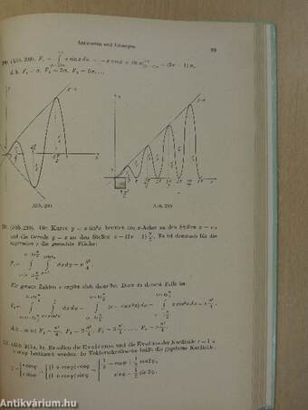 Die Mathematik des Naturforschers und Ingenieurs VIII.