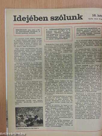 Kertészet és Szőlészet 1989. április 20.