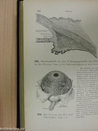 Die Descriptive und Topographische Anatomie des Menschen I.