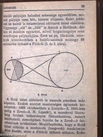 A Hold ostroma