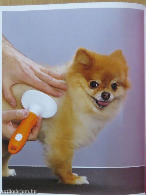 Kutyakozmetika otthon