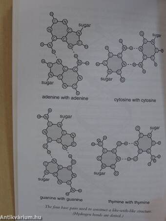 The Double Helix