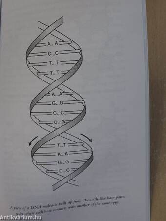 The Double Helix