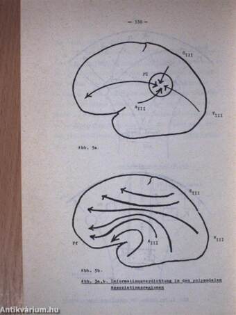 Besondere Fragen der medizinischen Psychologie