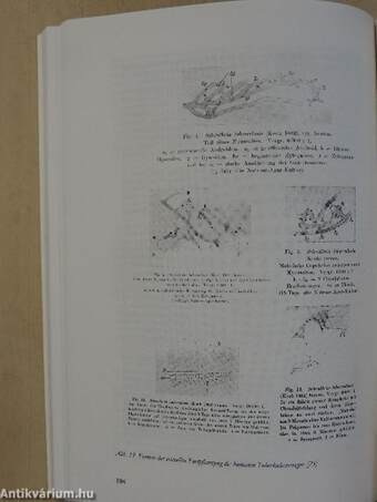 Leben und Werk von Prof. Dr. phil. Günther Enderlein 1872-1968