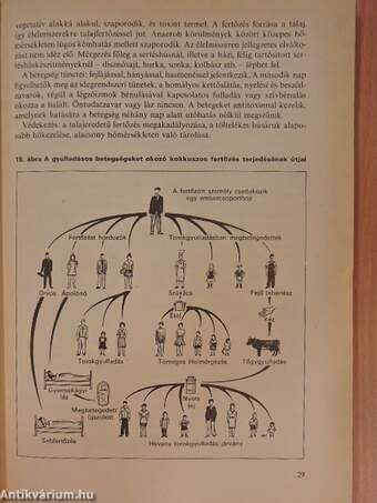 Élelmiszerismeret és gyakorlat 3.