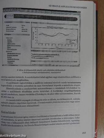 Vállalatirányítási információs rendszerek Magyarországon