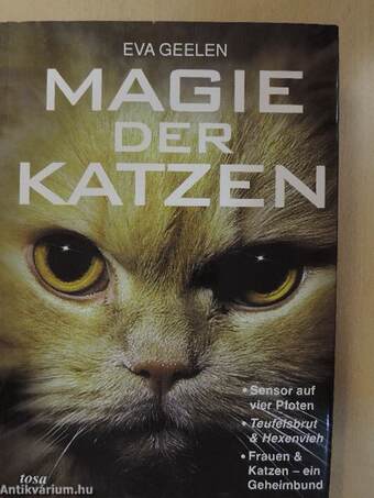 Magie der Katzen