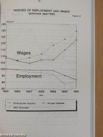 New Development of Business Surveys in the Transition Process in Central and Eastern European Countries