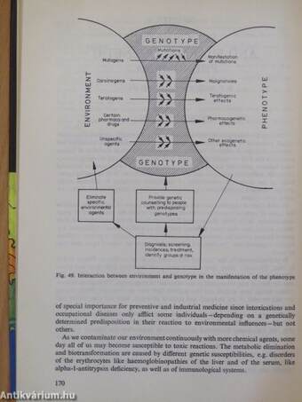 Genetics of the hungarian population