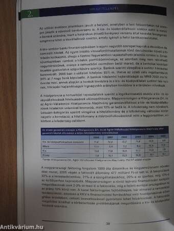 A kis- és középvállalkozások fejlesztésének stratégiája 2007-2013