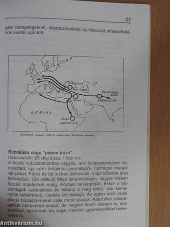 Bevezetés a gabonakonyhába