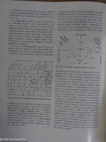 A magyar beszédhangok atlasza