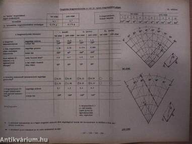 Kinematika és kinetika