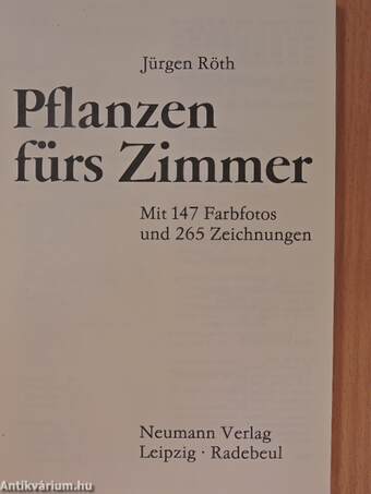 Pflanzen fürs Zimmer