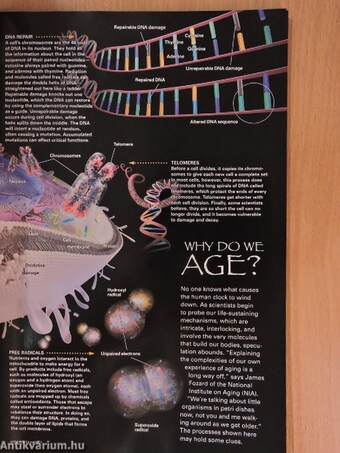 National Geographic November 1997