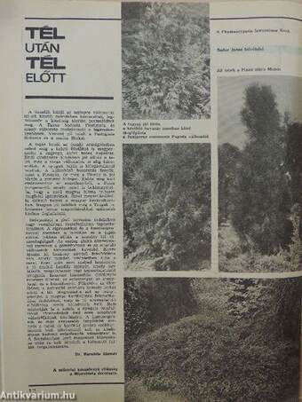 Kertbarát Magazin 1985. ősz-tél