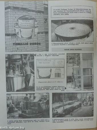 Kertészet és Szőlészet 1989. október 12.