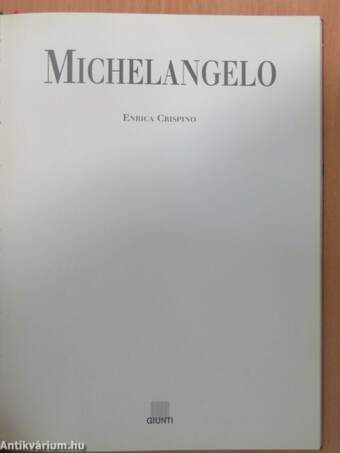 Michelangelo