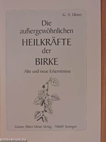 Die außergewöhnlichen Heilkräfte der Birke