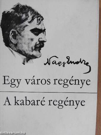 Egy város regénye/A kabaré regénye