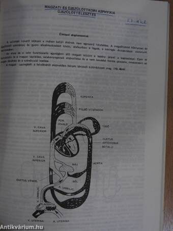 Az anaesthesiologia alapjai III.