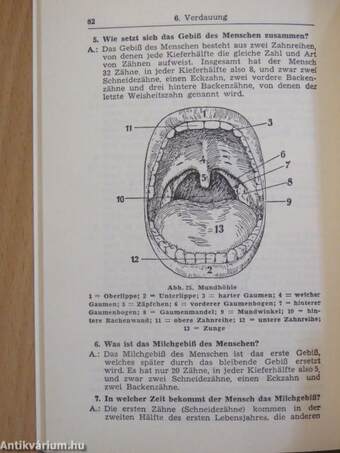 Körperbau und Lebensvorgänge des Menschen