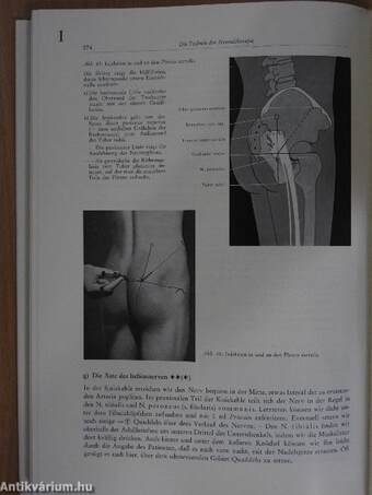 Lehrbuch der Neuraltherapie nach Huneke