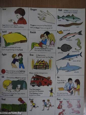 Children's Picture Dictionary