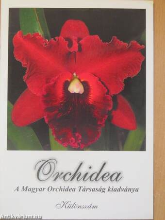 Orchidea