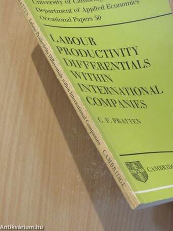 Labour Productivity Differentials Within International Companies