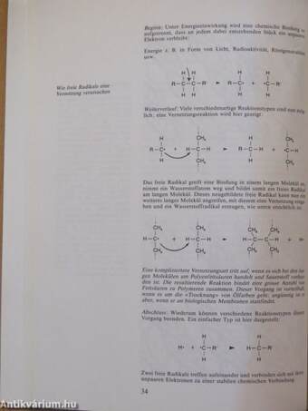 Geheimnisse der Lebensverlängerung