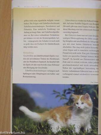 Kräuterbuch für Katzen