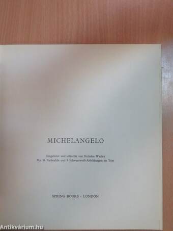 Michelangelo