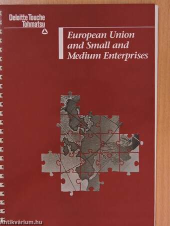 European Union and Small and Medium Enterprises