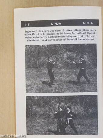 Ninja 1.